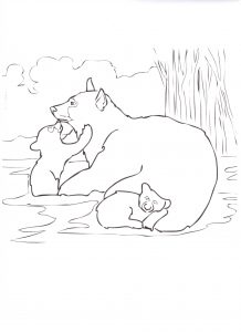 bear-coloring-page