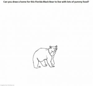 draw-a-bear-home-and-his-food