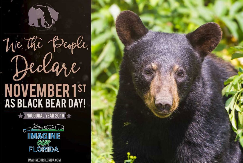 Black bear day