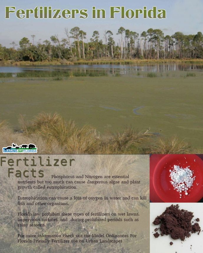 Fertilizers in Florida