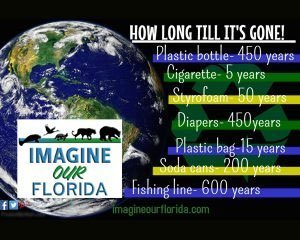 How long till it's gone - Plastics