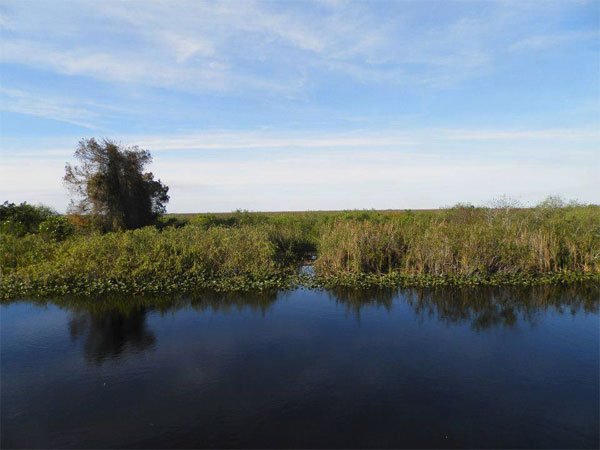 Wetlands