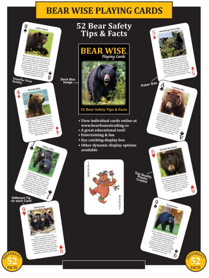 Bear Smart Bear Playing Cards