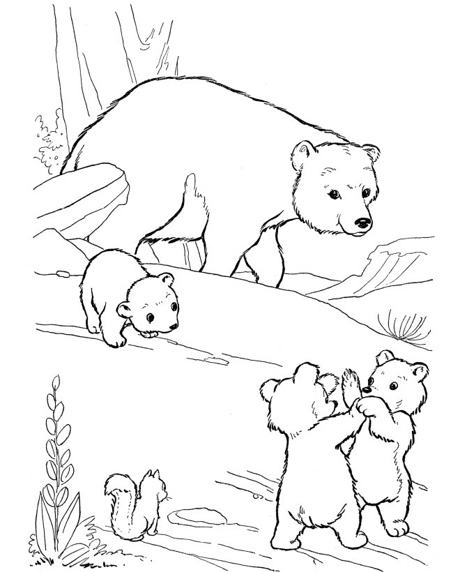 coloring pages for the florida panther