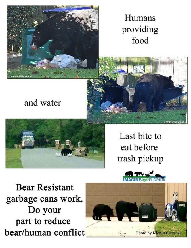 bears-and-bear-resistant-cans