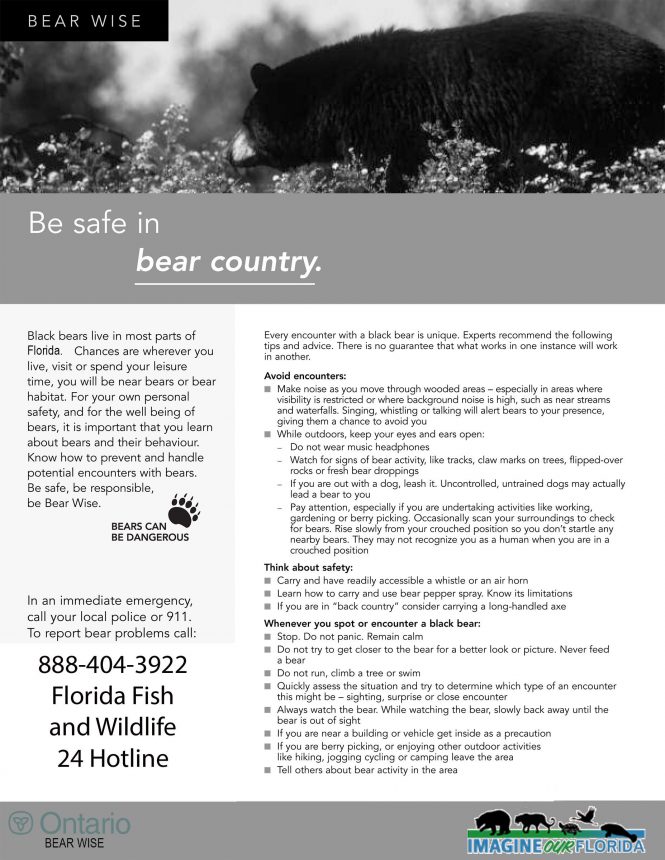 How to be safe in Florida's bear country