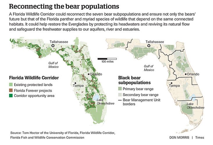 Florida-black-bear-corridors-map