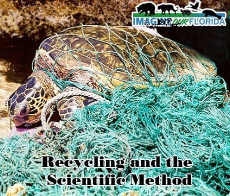 1 Kindergarten Recycling and the Scientific Method Lesson Plan