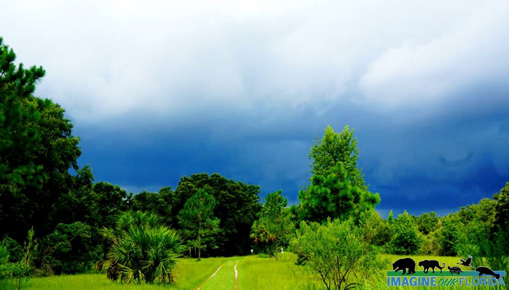 Alafia River State Park