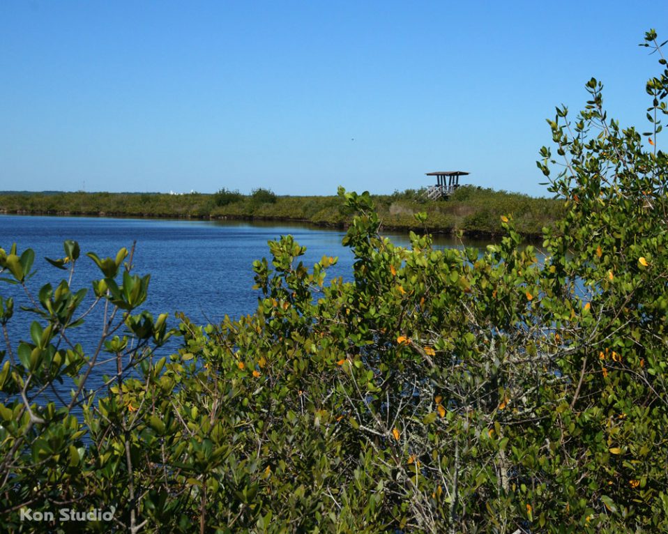 Black Point Wildlife Drive Imagine Our Florida, Inc