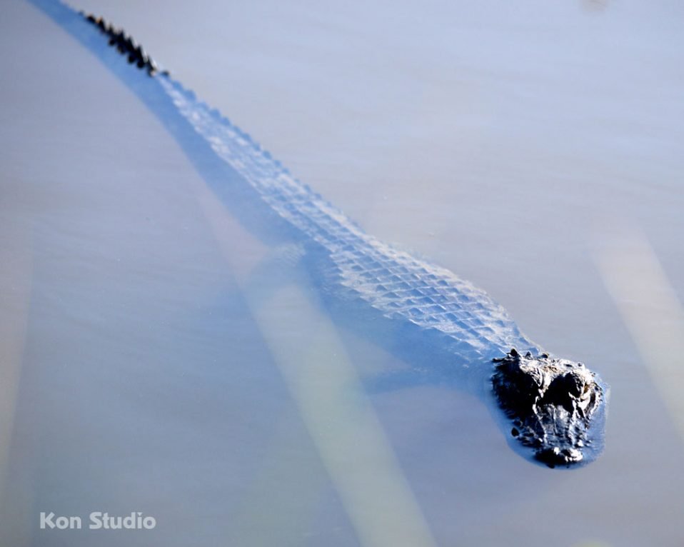 Black Point Wildlife Drive Imagine Our Florida, Inc