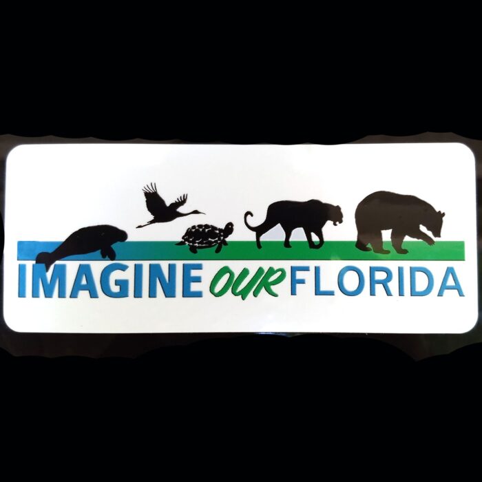 IOF Window Decal