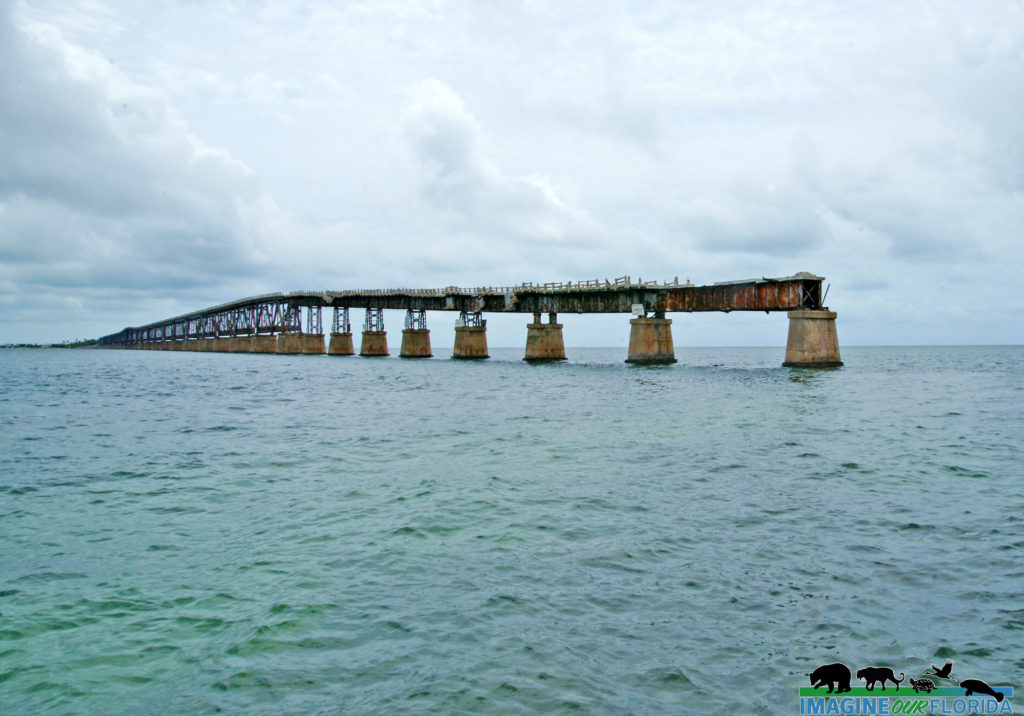 Bahia Honda State Park