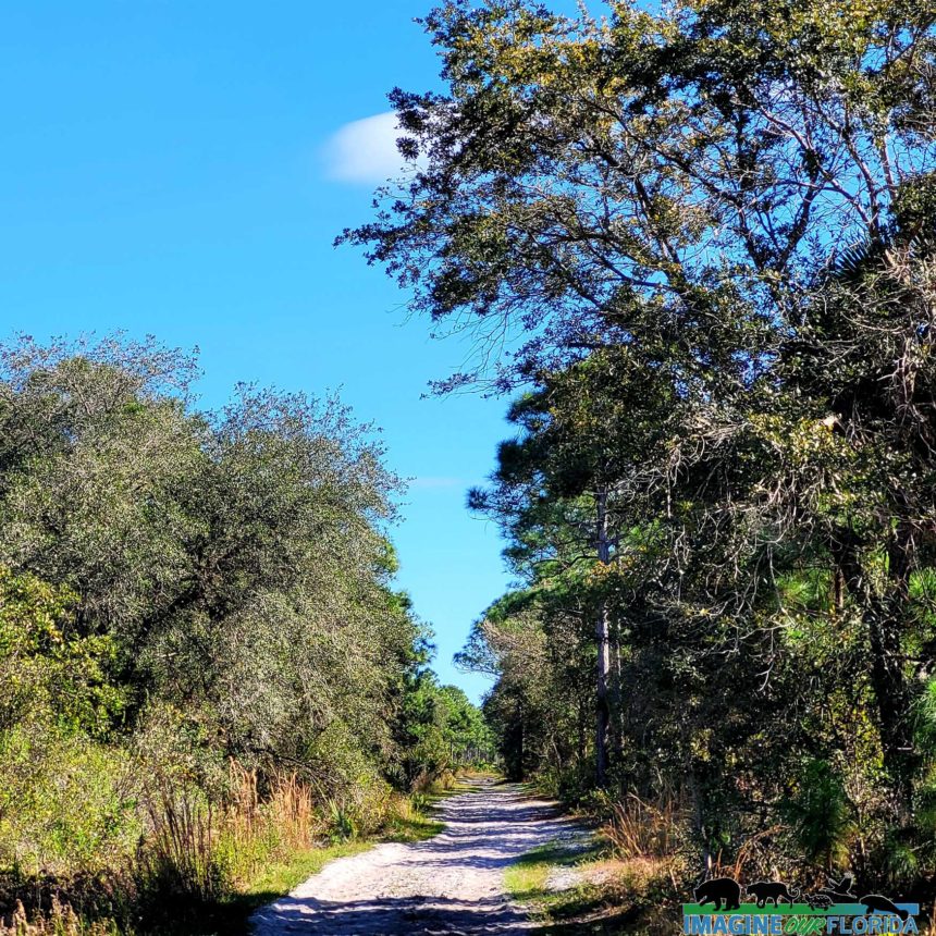 Atlantic Ridge Preserve State Park