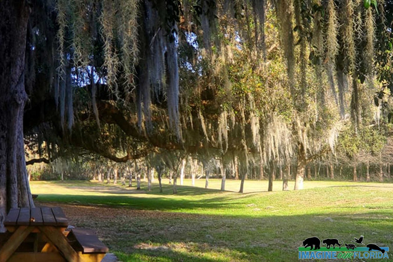 Lake Istokpoga Park – Imagine Our Florida, Inc