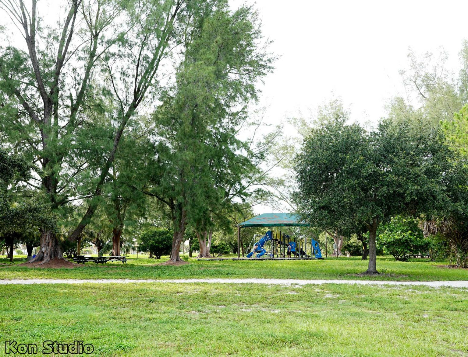 Sand Key Park | Imagine Our Florida, Inc