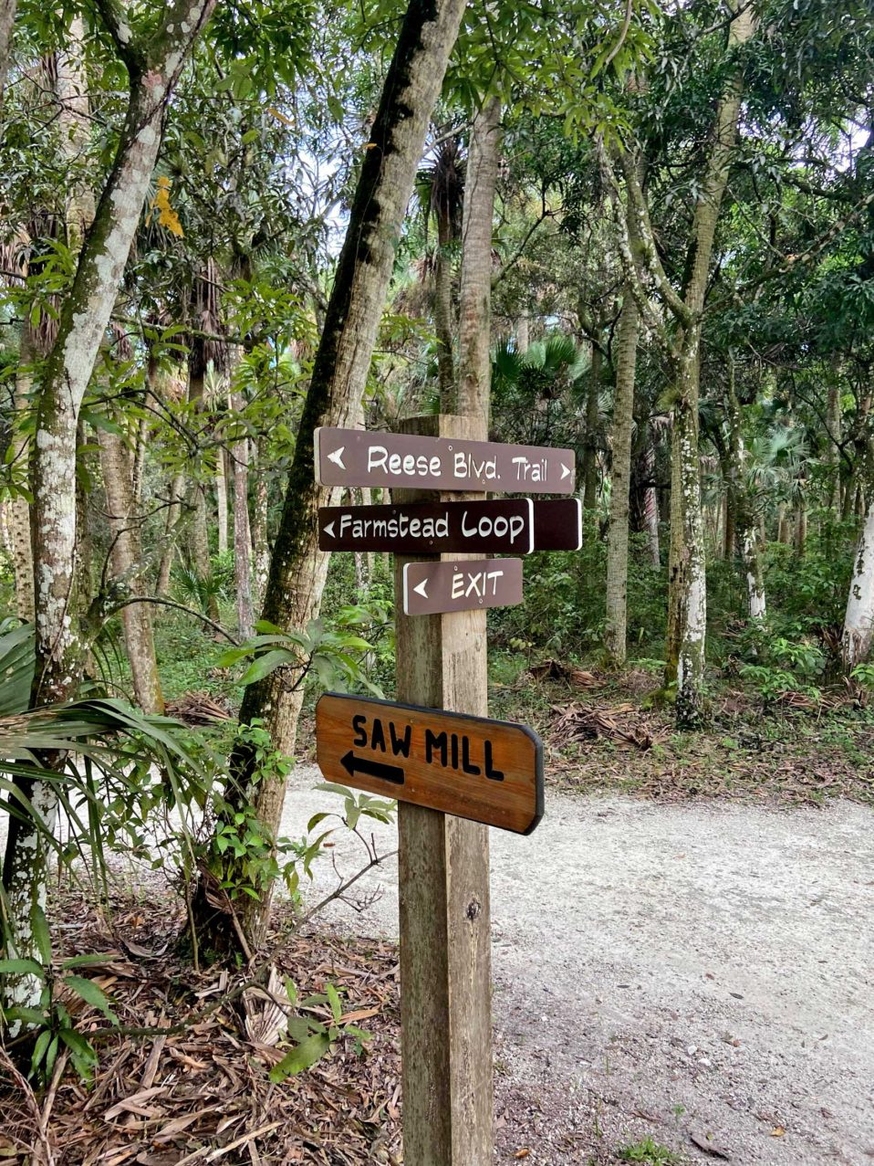 Loxahatchee river battlefield park riverbend park imagine our florida