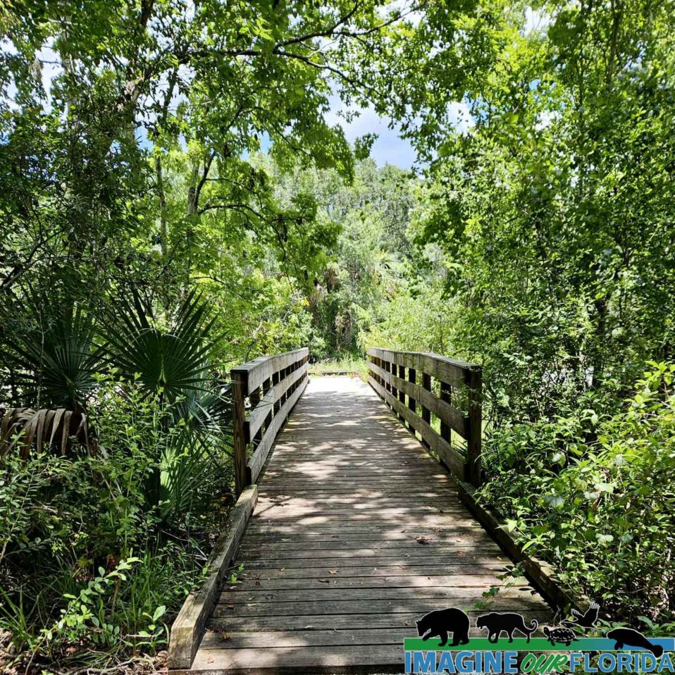 Looking for a place to hunt, camp at on the First Coast? Check out Ocean  Pond at Osceola State Park! 