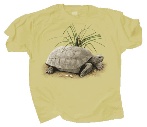 Clothing - IOF Tortoise T-Shirt