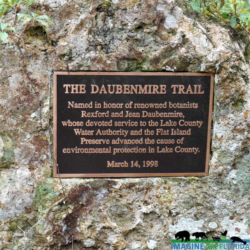 Flat Island Preserve – Imagine Our Florida, Inc